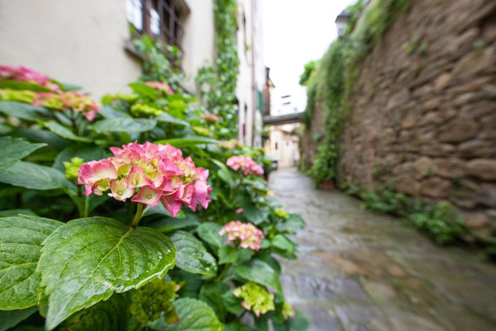 卡斯蒂里昂·菲奥伦蒂San Michele Al Borgo住宿加早餐旅馆 外观 照片